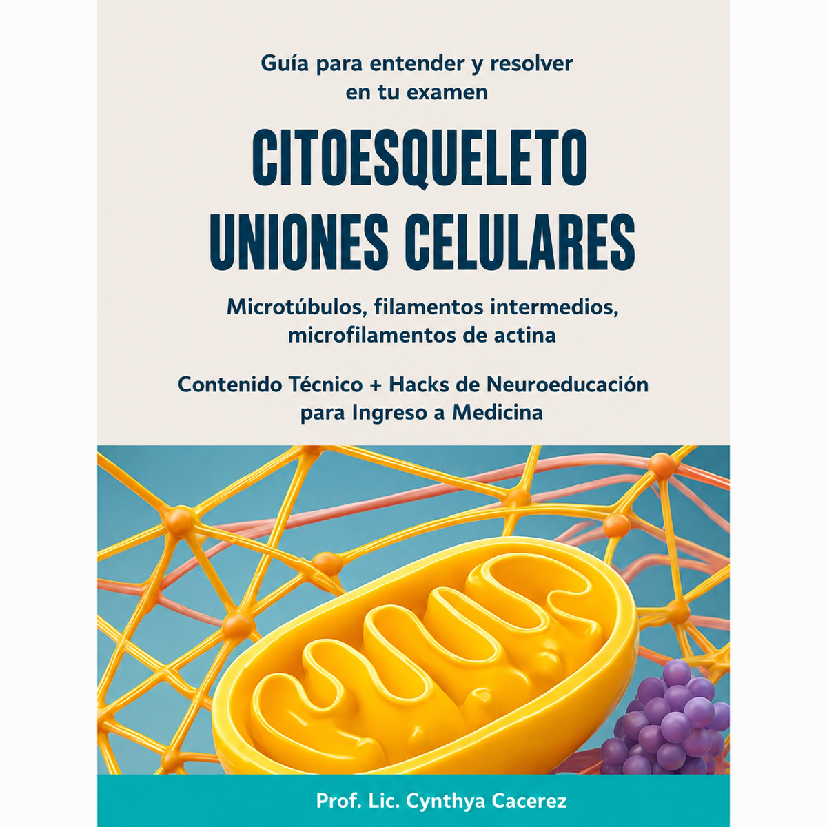 Citoesqueleto y uniones celulares Guía de entrenamiento + Bono